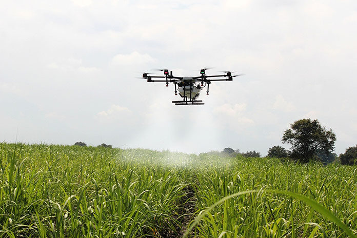 Jak wykorzystywane są drony w rolnictwie